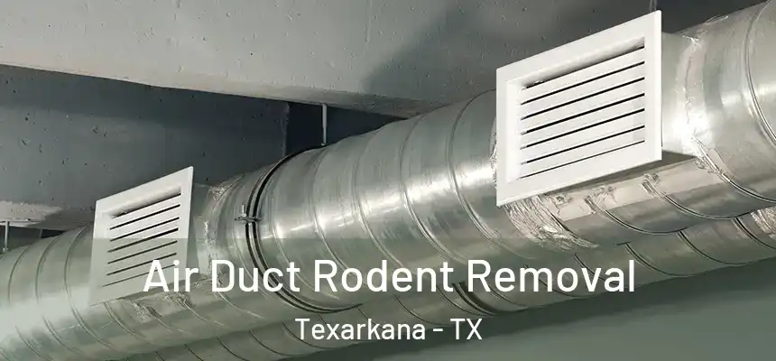  Air Duct Rodent Removal Texarkana - TX