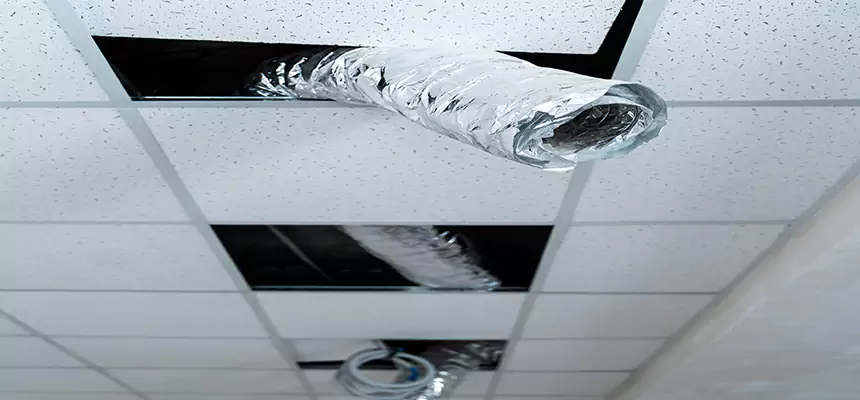 Our Air Duct Pet Hair Removal Services in Texarkana, TX