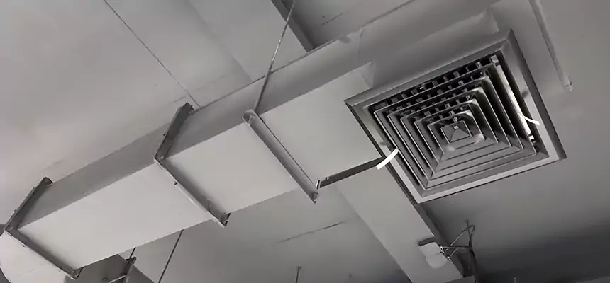 Our Pest Removal From Ducts Services in Texarkana, TX