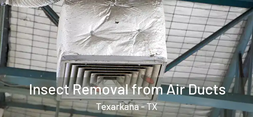  Insect Removal from Air Ducts Texarkana - TX