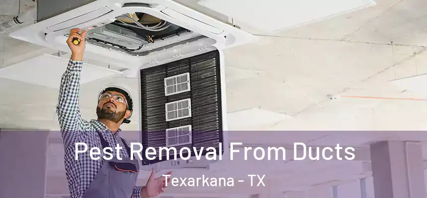  Pest Removal From Ducts Texarkana - TX
