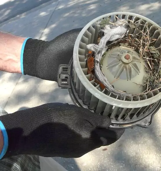 About Air Duct Mice Removal in Texarkana, TX