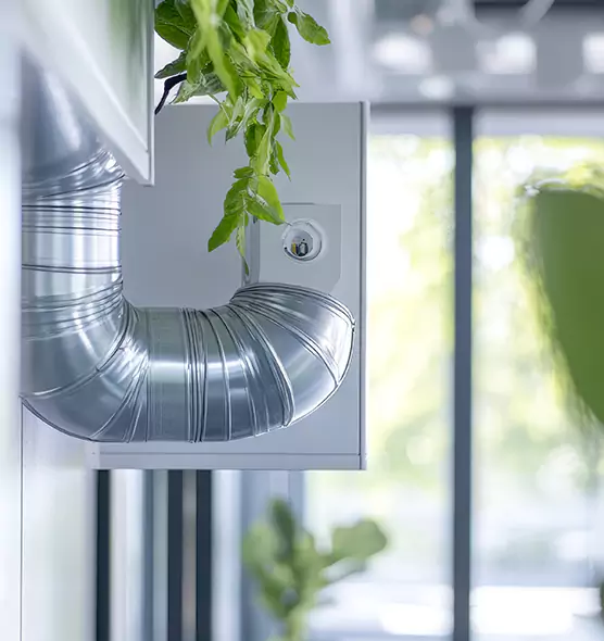 Professional Eco-Safe Dryer Vent Cleaning in Texarkana, TX