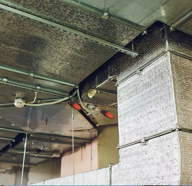 Why Homeowners & Businesses Trust Us in Texarkana, TX?