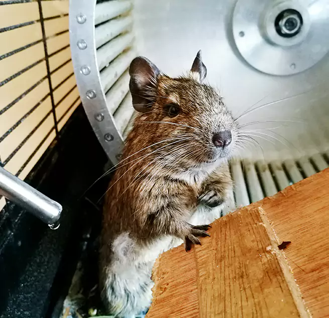 Why Homeowners & Businesses Trust Us Texarkana, TX