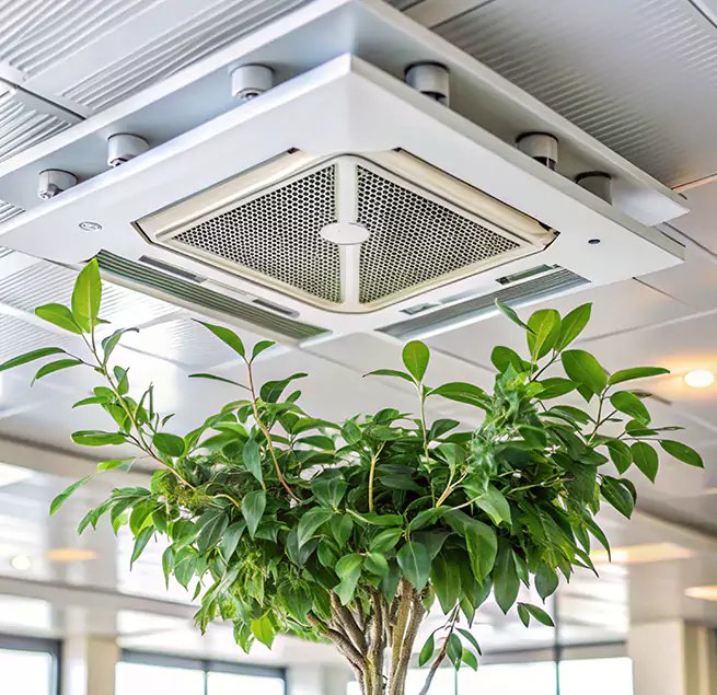 Why Homeowners & Businesses Trust Us in Texarkana, TX?